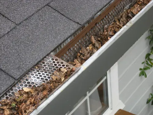 Gutter-Cleaning-Services--in-Brooklyn-New-York-gutter-cleaning-services-brooklyn-new-york.jpg-image